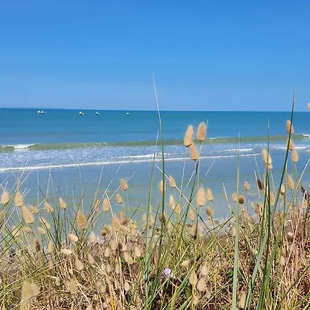 Bord De La Mielle